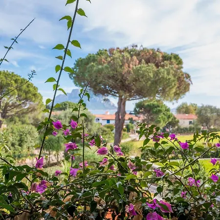 Piazzetta Casa Paola 200m From The Sea - Happy Porto San Paolo (Sardinia)